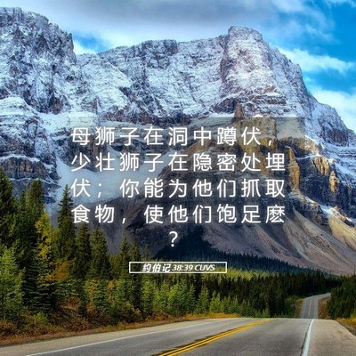 Picture 05 - 约 伯 记 38:39 CUVS - 母 狮 子 在 洞 中 蹲 伏 ， 少 壮 狮 - Bible Verse Picture