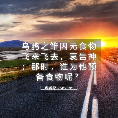 Picture 05 - 约 伯 记 38:41 CUVS - 乌 鸦 之 雏 因 无 食 物 飞 来 飞 去 - Bible Verse Picture