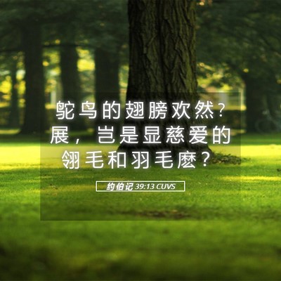 Picture 05 - 约 伯 记 39:13 CUVS - 鸵 鸟 的 翅 膀 欢 然 ? 展 ， 岂 是 显 - Bible Verse Picture