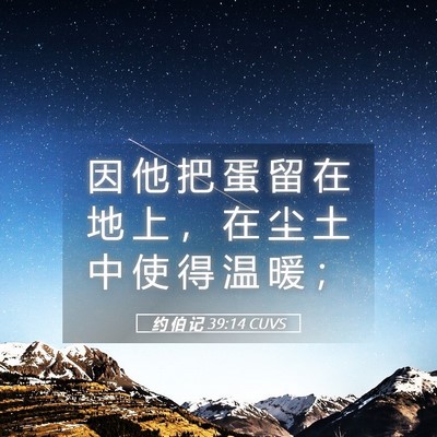 Picture 05 - 约 伯 记 39:14 CUVS - 因 他 把 蛋 留 在 地 上 ， 在 尘 土 - Bible Verse Picture