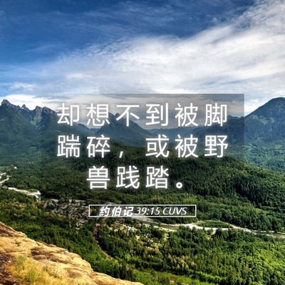 Picture 05 - 约 伯 记 39:15 CUVS - 却 想 不 到 被 脚 踹 碎 ， 或 被 野 - Bible Verse Picture