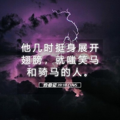 Picture 05 - 约 伯 记 39:18 CUVS - 他 几 时 挺 身 展 开 翅 膀 ， 就 嗤 - Bible Verse Picture
