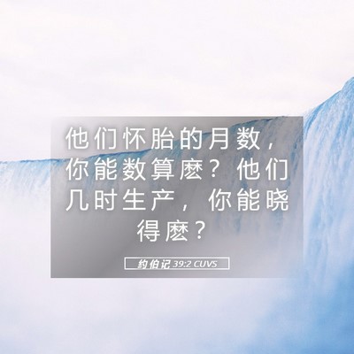 Picture 05 - 约 伯 记 39:2 CUVS - 他 们 怀 胎 的 月 数 ， 你 能 数 算 - Bible Verse Picture