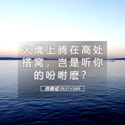 Picture 05 - 约 伯 记 39:27 CUVS - 大 鹰 上 腾 在 高 处 搭 窝 ， 岂 是 - Bible Verse Picture