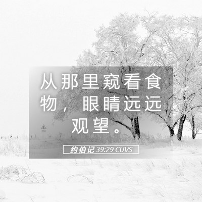 Picture 05 - 约 伯 记 39:29 CUVS - 从 那 里 窥 看 食 物 ， 眼 睛 远 远 - Bible Verse Picture