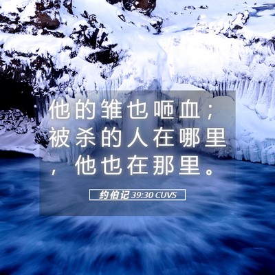 Picture 05 - 约 伯 记 39:30 CUVS - 他 的 雏 也 咂 血 ； 被 杀 的 人 在 - Bible Verse Picture