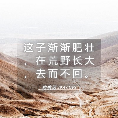 Picture 05 - 约 伯 记 39:4 CUVS - 这 子 渐 渐 肥 壮 ， 在 荒 野 长 大 - Bible Verse Picture