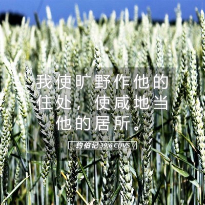 Picture 05 - 约 伯 记 39:6 CUVS - 我 使 旷 野 作 他 的 住 处 ， 使 咸 - Bible Verse Picture