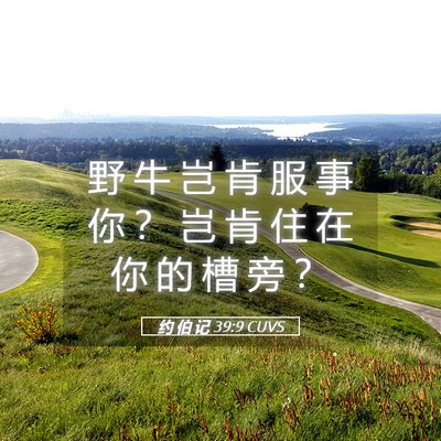 Picture 05 - 约 伯 记 39:9 CUVS - 野 牛 岂 肯 服 事 你 ？ 岂 肯 住 在 - Bible Verse Picture