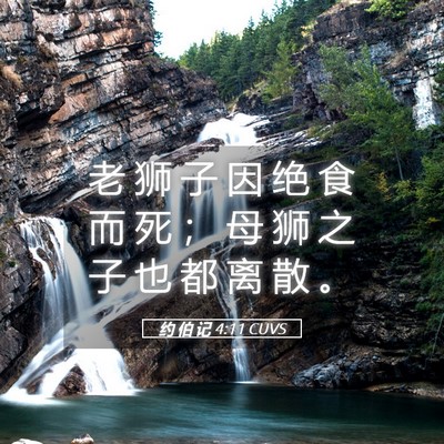 Picture 05 - 约 伯 记 4:11 CUVS - 老 狮 子 因 绝 食 而 死 ； 母 狮 之 - Bible Verse Picture