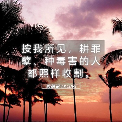 Picture 05 - 约 伯 记 4:8 CUVS - 按 我 所 见 ， 耕 罪 孽 、 种 毒 害 - Bible Verse Picture