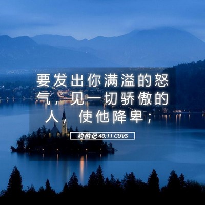 Picture 05 - 约 伯 记 40:11 CUVS - 要 发 出 你 满 溢 的 怒 气 ， 见 一 - Bible Verse Picture
