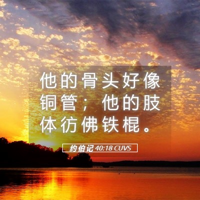Picture 05 - 约 伯 记 40:18 CUVS - 他 的 骨 头 好 像 铜 管 ； 他 的 肢 - Bible Verse Picture