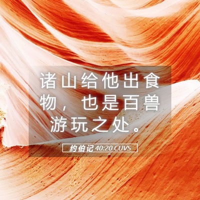 Picture 05 - 约 伯 记 40:20 CUVS - 诸 山 给 他 出 食 物 ， 也 是 百 兽 - Bible Verse Picture