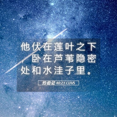 Picture 05 - 约 伯 记 40:21 CUVS - 他 伏 在 莲 叶 之 下 ， 卧 在 芦 苇 - Bible Verse Picture