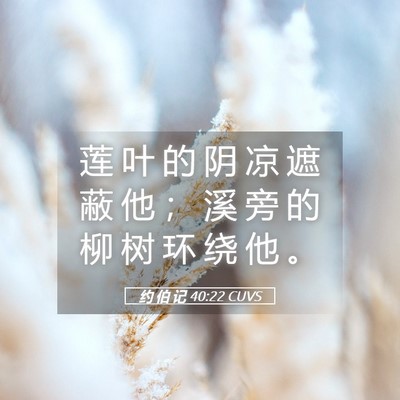 Picture 05 - 约 伯 记 40:22 CUVS - 莲 叶 的 阴 凉 遮 蔽 他 ； 溪 旁 的 - Bible Verse Picture