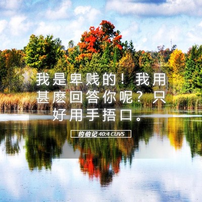 Picture 05 - 约 伯 记 40:4 CUVS - 我 是 卑 贱 的 ！ 我 用 甚 麽 回 答 - Bible Verse Picture