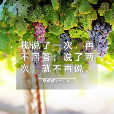 Picture 05 - 约 伯 记 40:5 CUVS - 我 说 了 一 次 ， 再 不 回 答 ； 说 - Bible Verse Picture