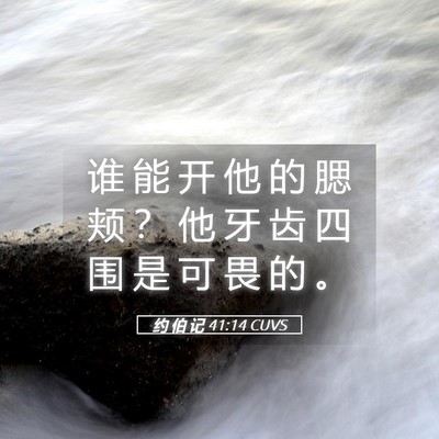 Picture 05 - 约 伯 记 41:14 CUVS - 谁 能 开 他 的 腮 颊 ？ 他 牙 齿 四 - Bible Verse Picture