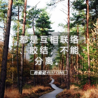 Picture 05 - 约 伯 记 41:17 CUVS - 都 是 互 相 联 络 、 胶 结 ， 不 能 - Bible Verse Picture