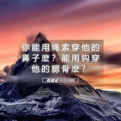 Picture 05 - 约 伯 记 41:2 CUVS - 你 能 用 绳 索 穿 他 的 鼻 子 麽 ？ - Bible Verse Picture