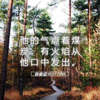 Picture 05 - 约 伯 记 41:21 CUVS - 他 的 气 点 着 煤 炭 ， 有 火 焰 从 - Bible Verse Picture