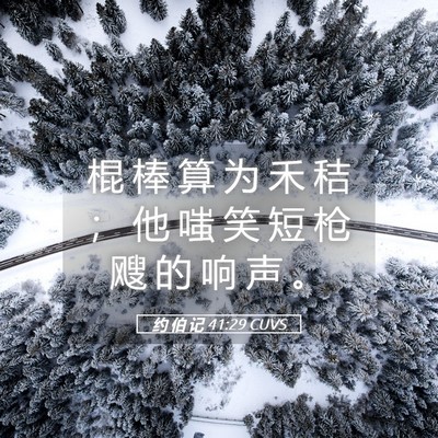 Picture 05 - 约 伯 记 41:29 CUVS - 棍 棒 算 为 禾 秸 ； 他 嗤 笑 短 枪 - Bible Verse Picture