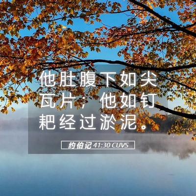Picture 05 - 约 伯 记 41:30 CUVS - 他 肚 腹 下 如 尖 瓦 片 ； 他 如 钉 - Bible Verse Picture