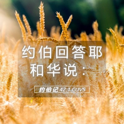 Picture 05 - 约 伯 记 42:1 CUVS - 约 伯 回 答 耶 和 华 说 - Bible Verse Picture