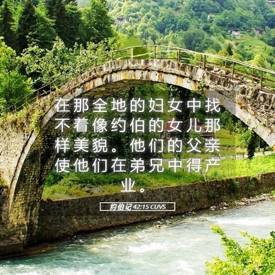 Picture 05 - 约 伯 记 42:15 CUVS - 在 那 全 地 的 妇 女 中 找 不 着 像 - Bible Verse Picture