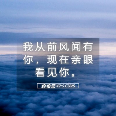 Picture 05 - 约 伯 记 42:5 CUVS - 我 从 前 风 闻 有 你 ， 现 在 亲 眼 - Bible Verse Picture