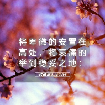 Picture 05 - 约 伯 记 5:11 CUVS - 将 卑 微 的 安 置 在 高 处 ， 将 哀 - Bible Verse Picture