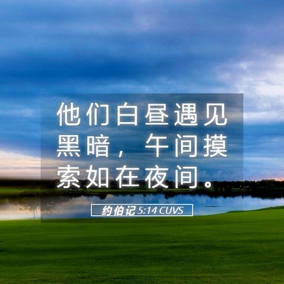 Picture 05 - 约 伯 记 5:14 CUVS - 他 们 白 昼 遇 见 黑 暗 ， 午 间 摸 - Bible Verse Picture