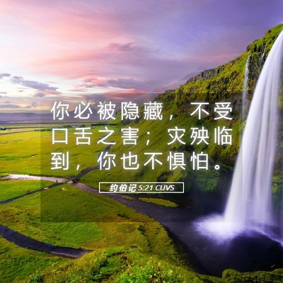 Picture 05 - 约 伯 记 5:21 CUVS - 你 必 被 隐 藏 ， 不 受 口 舌 之 害 - Bible Verse Picture