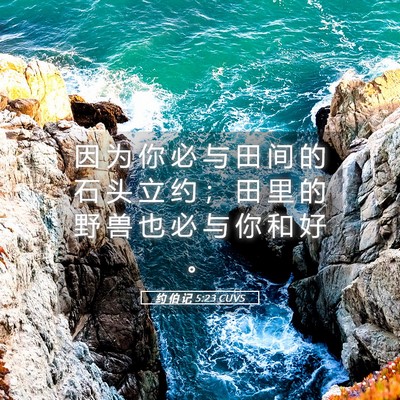 Picture 05 - 约 伯 记 5:23 CUVS - 因 为 你 必 与 田 间 的 石 头 立 约 - Bible Verse Picture
