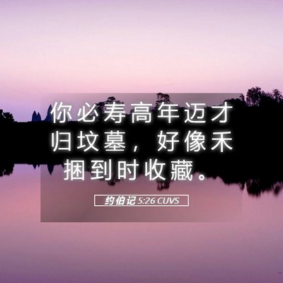 Picture 05 - 约 伯 记 5:26 CUVS - 你 必 寿 高 年 迈 才 归 坟 墓 ， 好 - Bible Verse Picture