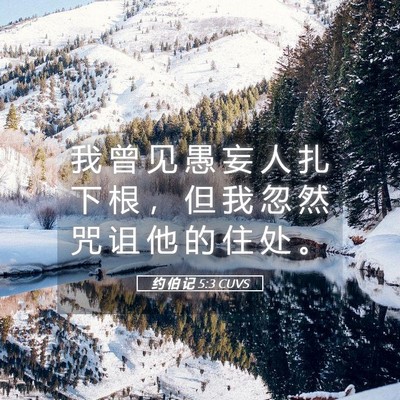 Picture 05 - 约 伯 记 5:3 CUVS - 我 曾 见 愚 妄 人 扎 下 根 ， 但 我 - Bible Verse Picture