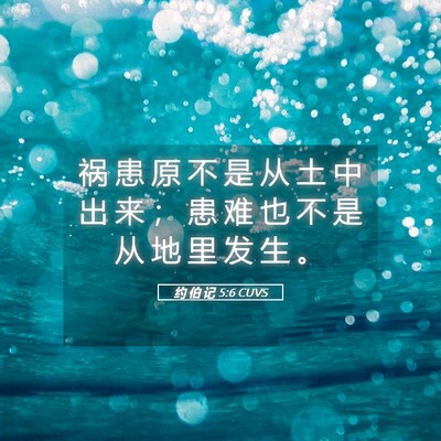 Picture 05 - 约 伯 记 5:6 CUVS - 祸 患 原 不 是 从 土 中 出 来 ； 患 - Bible Verse Picture