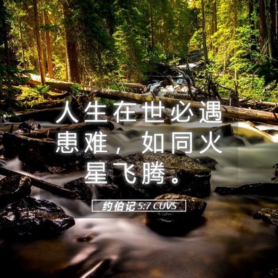 Picture 05 - 约 伯 记 5:7 CUVS - 人 生 在 世 必 遇 患 难 ， 如 同 火 - Bible Verse Picture