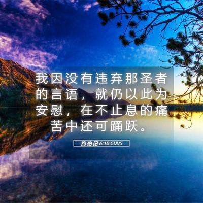 Picture 05 - 约 伯 记 6:10 CUVS - 我 因 没 有 违 弃 那 圣 者 的 言 语 - Bible Verse Picture