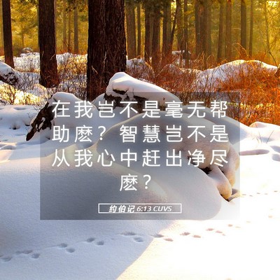 Picture 05 - 约 伯 记 6:13 CUVS - 在 我 岂 不 是 毫 无 帮 助 麽 ？ 智 - Bible Verse Picture