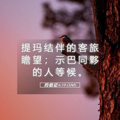 Picture 05 - 约 伯 记 6:19 CUVS - 提 玛 结 伴 的 客 旅 瞻 望 ； 示 巴 - Bible Verse Picture