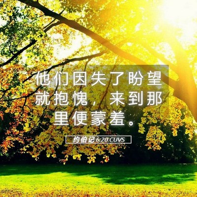 Picture 05 - 约 伯 记 6:20 CUVS - 他 们 因 失 了 盼 望 就 抱 愧 ， 来 - Bible Verse Picture