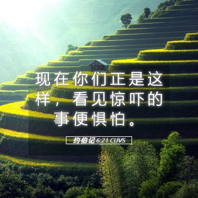 Picture 05 - 约 伯 记 6:21 CUVS - 现 在 你 们 正 是 这 样 ， 看 见 惊 - Bible Verse Picture