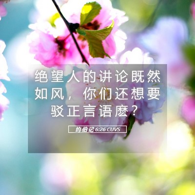Picture 05 - 约 伯 记 6:26 CUVS - 绝 望 人 的 讲 论 既 然 如 风 ， 你 - Bible Verse Picture