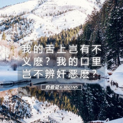Picture 05 - 约 伯 记 6:30 CUVS - 我 的 舌 上 岂 有 不 义 麽 ？ 我 的 - Bible Verse Picture