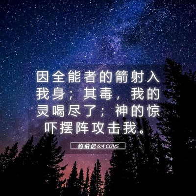 Picture 05 - 约 伯 记 6:4 CUVS - 因 全 能 者 的 箭 射 入 我 身 ； 其 - Bible Verse Picture