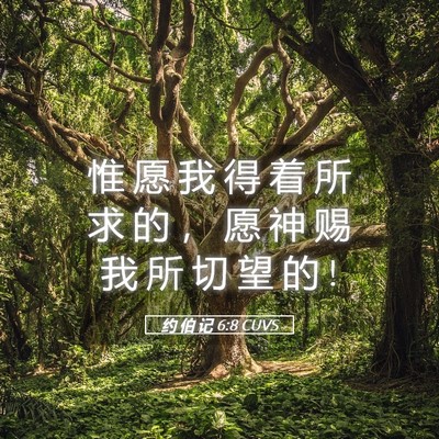 Picture 05 - 约 伯 记 6:8 CUVS - 惟 愿 我 得 着 所 求 的 ， 愿 神 赐 - Bible Verse Picture