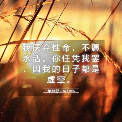 Picture 05 - 约 伯 记 7:16 CUVS - 我 厌 弃 性 命 ， 不 愿 永 活 。 你 - Bible Verse Picture