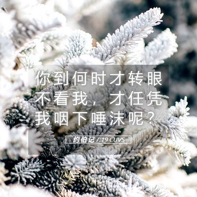 Picture 05 - 约 伯 记 7:19 CUVS - 你 到 何 时 才 转 眼 不 看 我 ， 才 - Bible Verse Picture